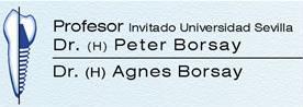 Logo Prof. Dr. (H) Peter Prof. Invitado Dr. (H) Peter Borsay |