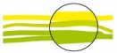Logo Abeck Prof. Dr. med. Dietrich