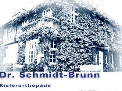 Logo Dr. Hermann Schmidt-Brunn