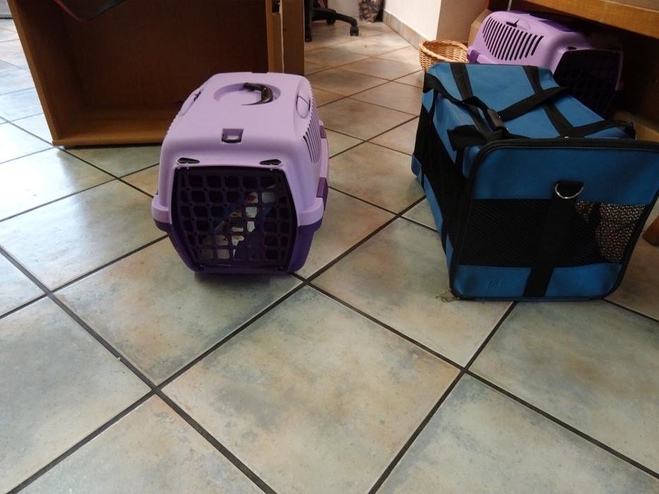 Bilder Hunde- und Katzensalon Evelyn