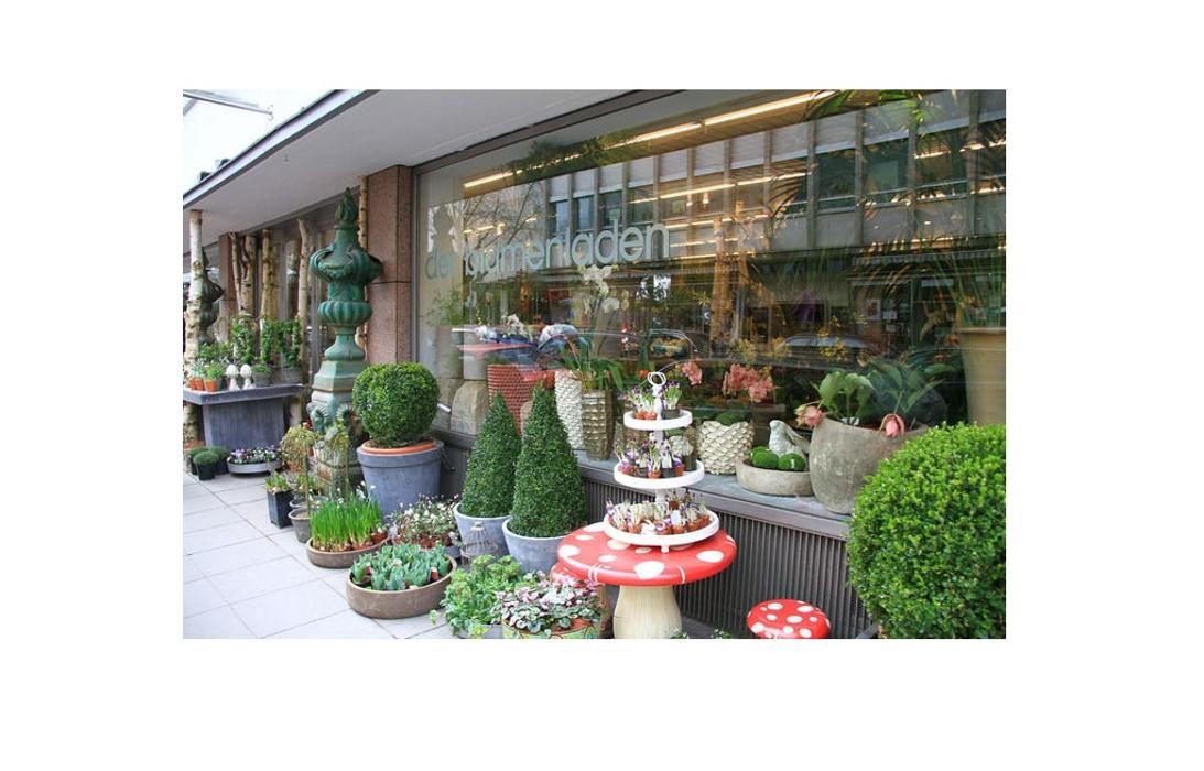 Bilder der blumenladen, Ingo Jank