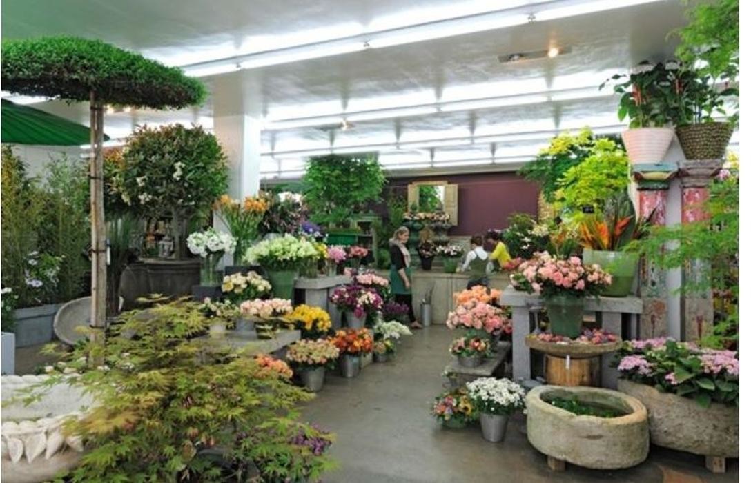 Bilder der blumenladen, Ingo Jank