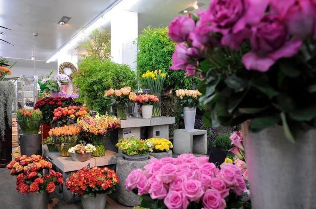 Bilder der blumenladen, Ingo Jank