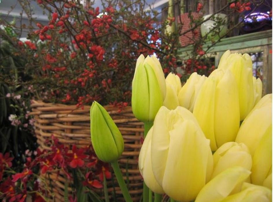 Bilder der blumenladen, Ingo Jank