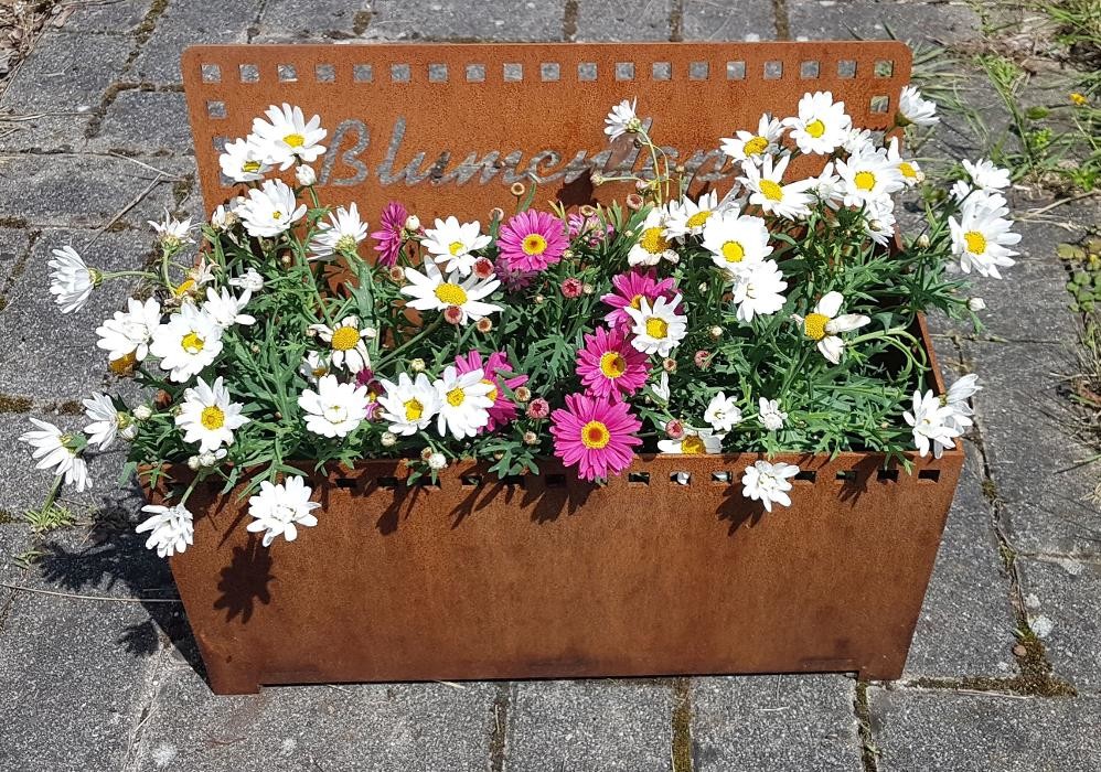 Bilder Z+M Zeit- und Messgeräte GmbH & Co. KG