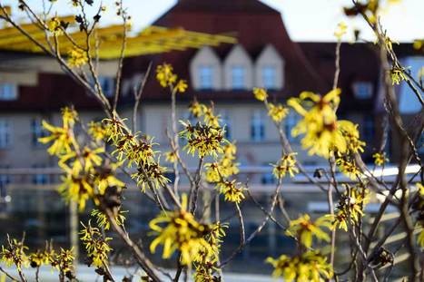 Bilder Karl-Olga-Krankenhaus GmbH