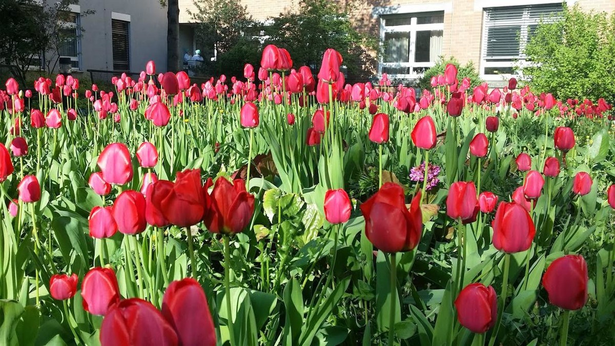 Bilder Karl-Olga-Krankenhaus GmbH