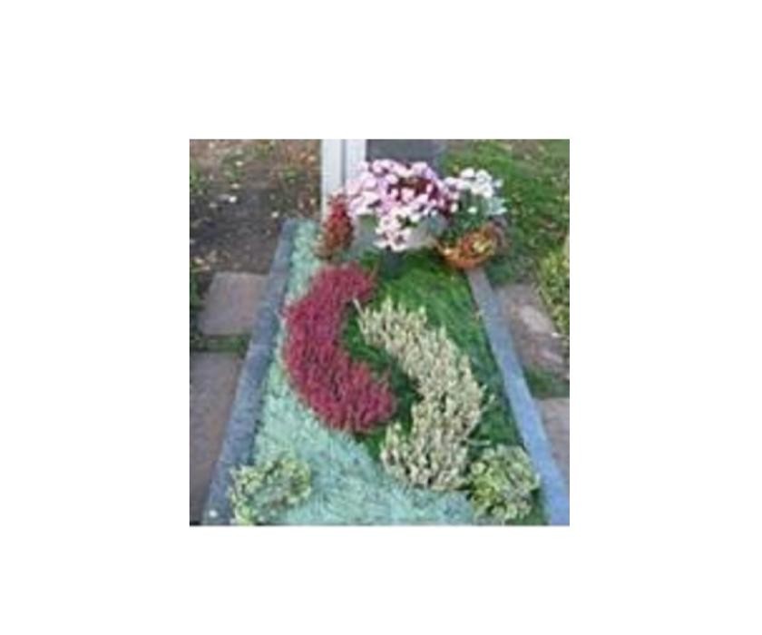 Bilder Blumen- und Friedhofsgärtnerei Schmid GmbH
