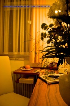 Bilder Alt-Connewitz Ihr Hotel in Leipzig
