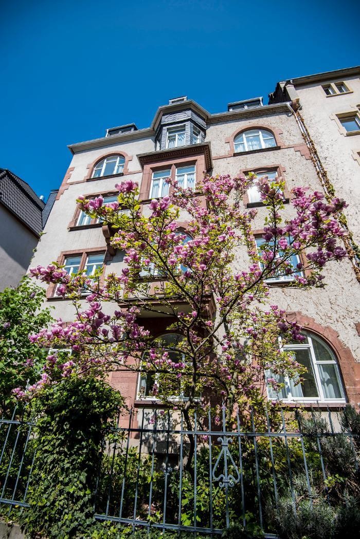 Bilder ART-HOTEL ROBERT MAYER