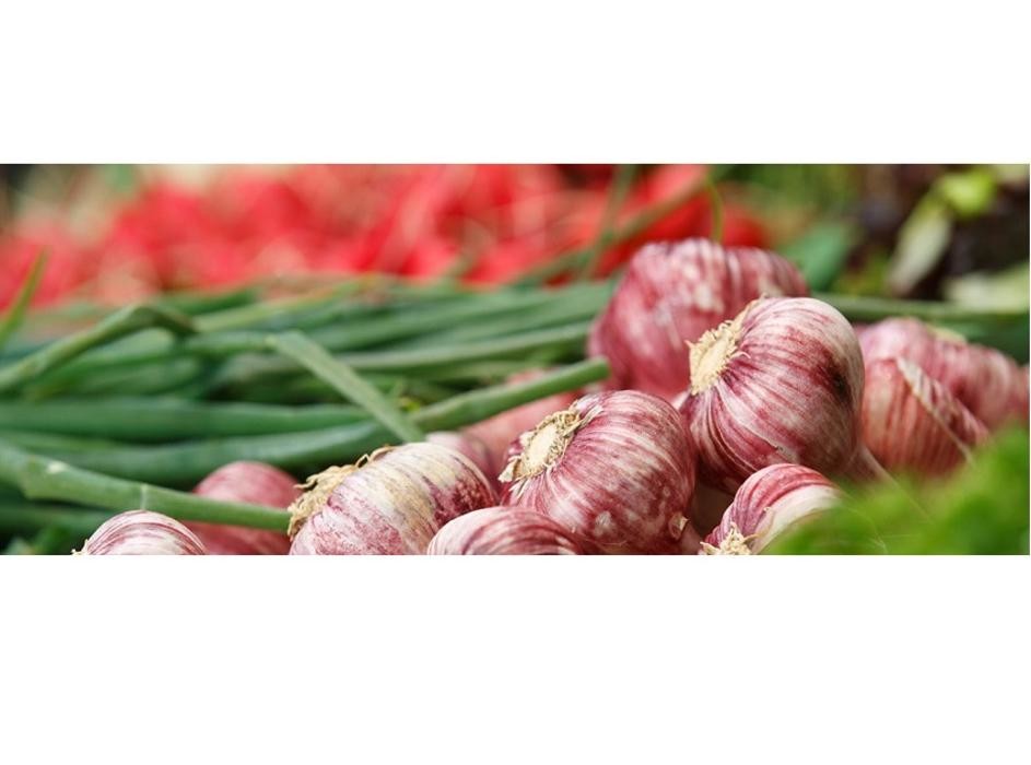 Bilder Organix Biomarkt GmbH