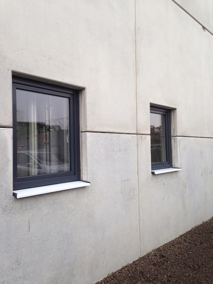 Bilder Wolf Fenster & Türen
