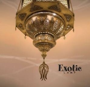 Bilder Exoticdeko Shop