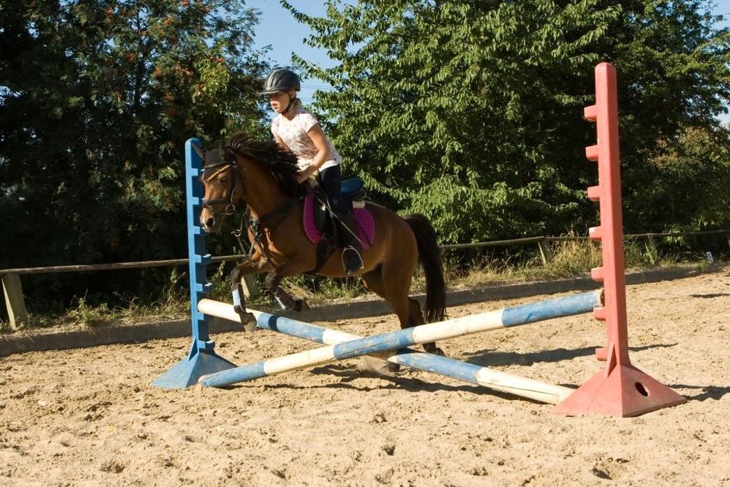 Bilder Kinderreitschule Köln