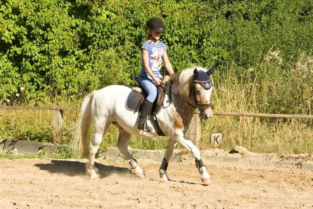 Bilder Kinderreitschule Köln