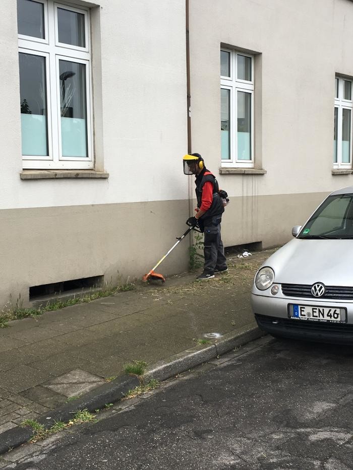 Bilder Gebäudereinigung Kwick