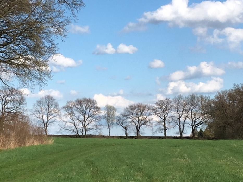 Bilder BESTATTUNGEN & TRAUERVORSORGE DUNKER