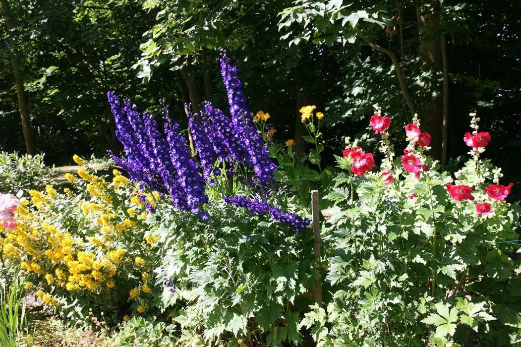 Bilder Das alte Pastorat