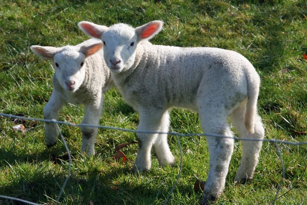 Bilder Das alte Pastorat