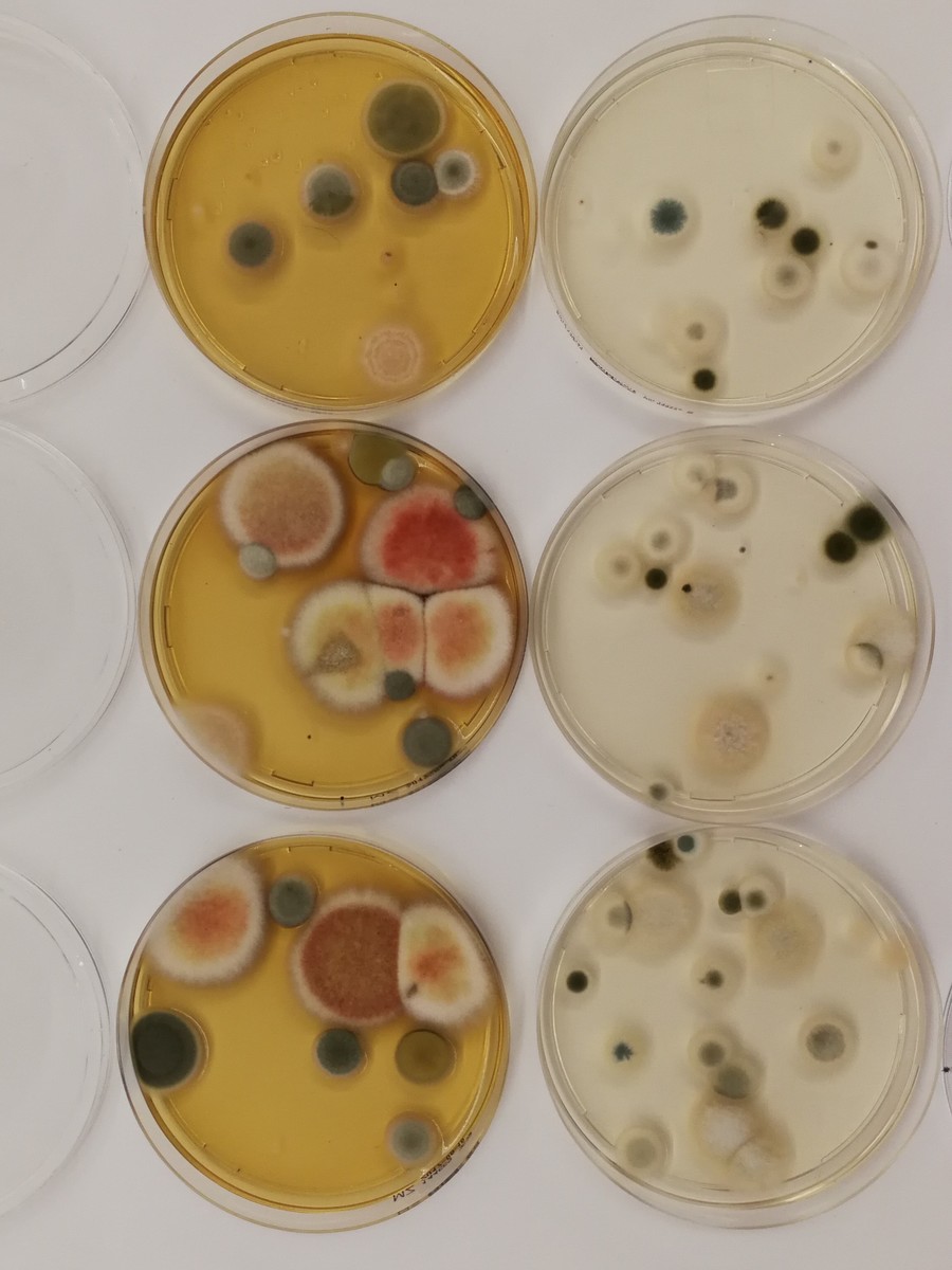 Bilder FMB Baubiologie GmbH