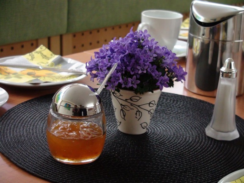 Bilder Hotel Alt-Rodenkirchen