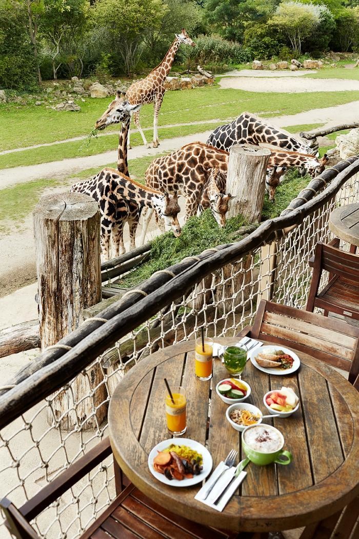 Bilder Kiwara-Lodge