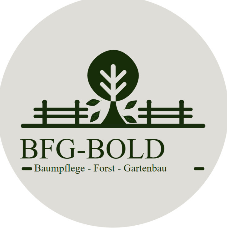 BFG Bold Logo