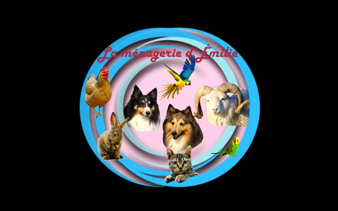 Logo