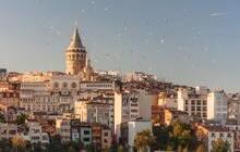 aerial view of buildings and flying birds © Anna 