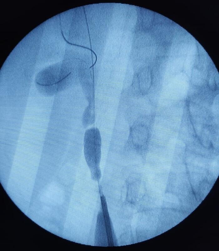 Images Urología Dr Koll y Dra Estefano