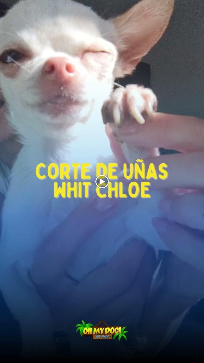 Images Pet Shop y Peluquería Canina Oh My Dog Rosario