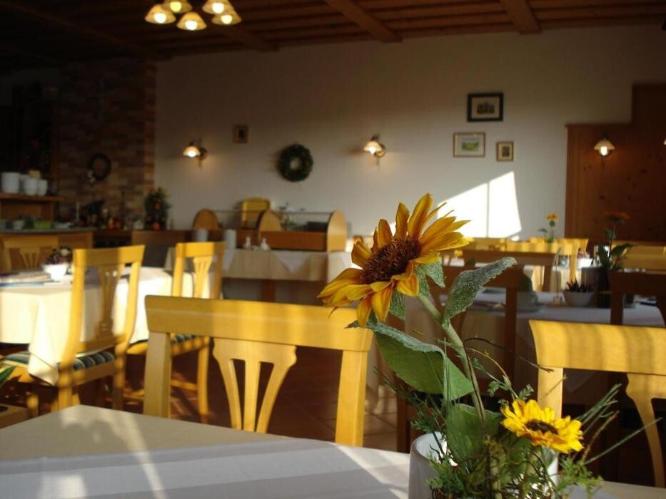 Bilder Pension Rudi & Weingut Kellner