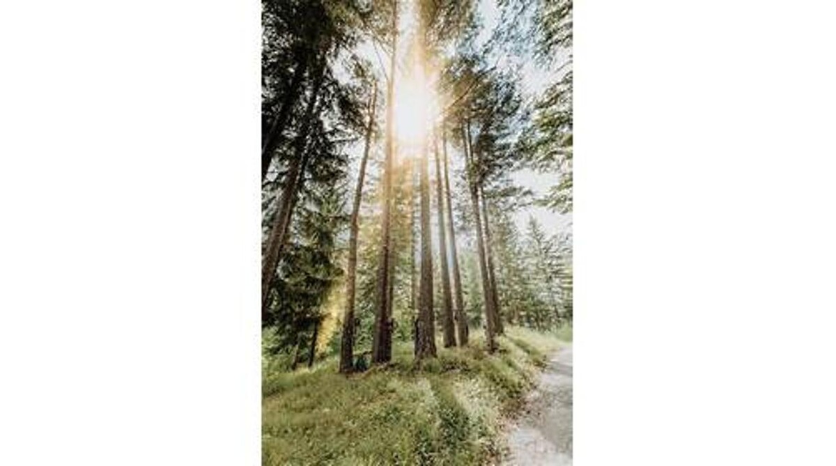 Bilder Der Löffler Restaurant - Hotel - Café