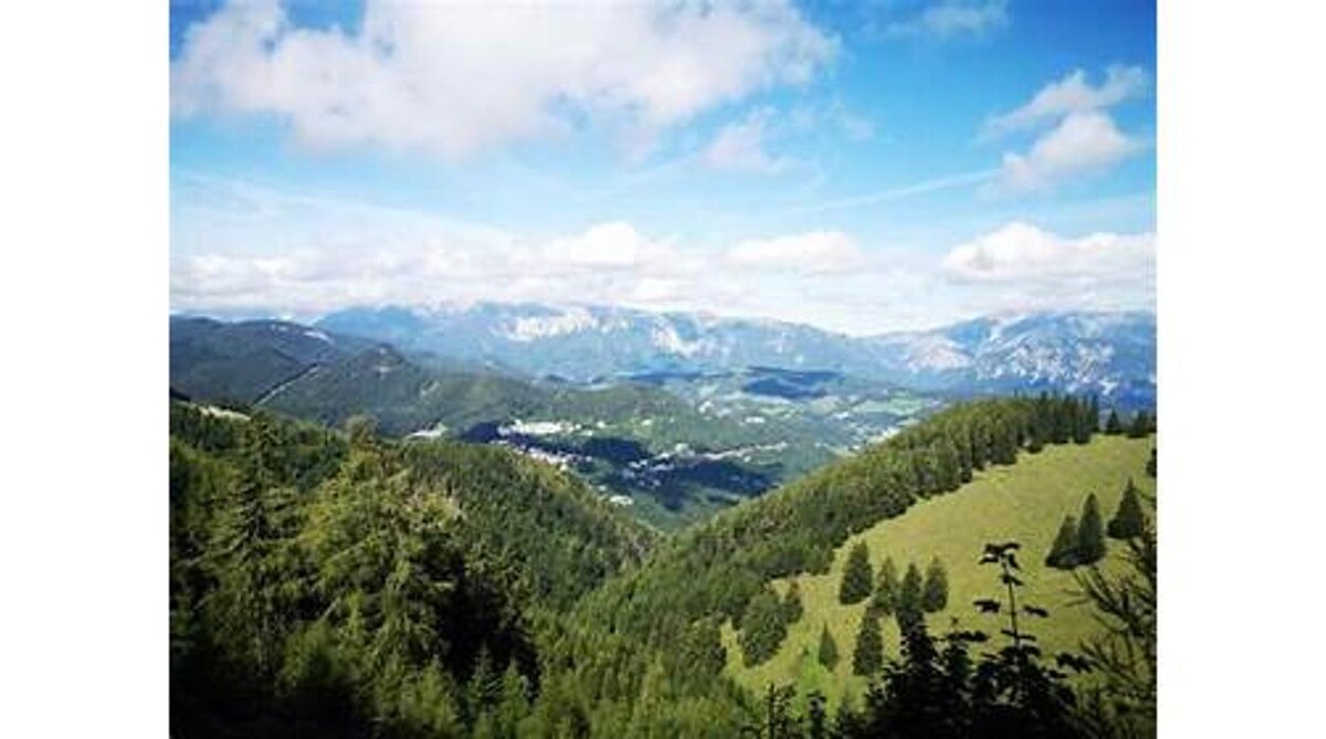 Bilder Der Löffler Restaurant - Hotel - Café