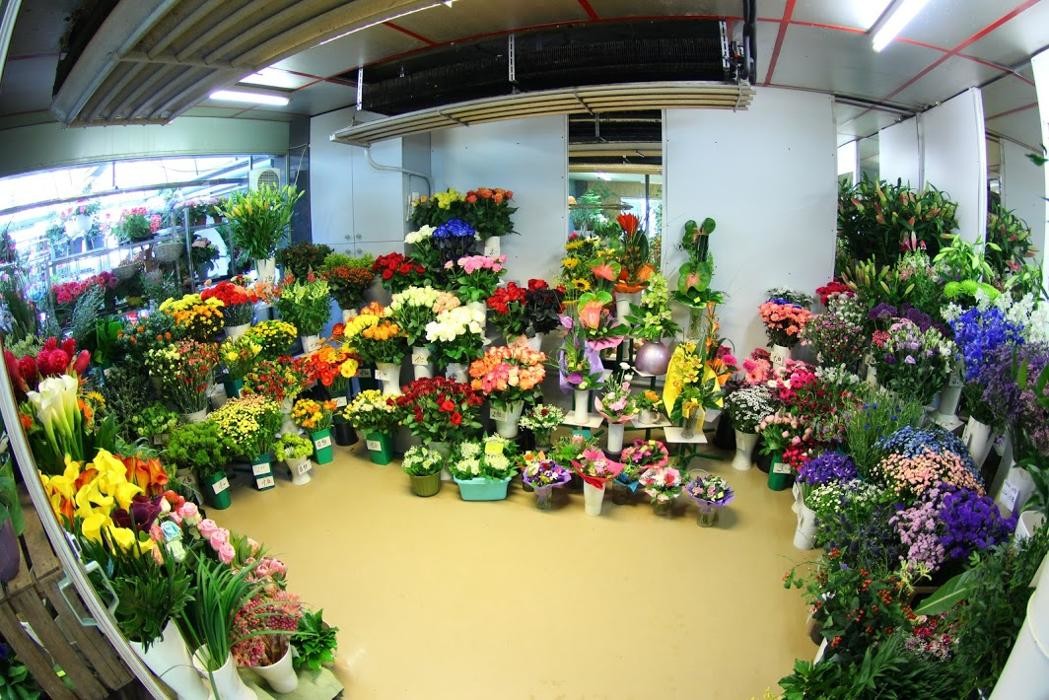Bilder Blumen Luser-Grosch