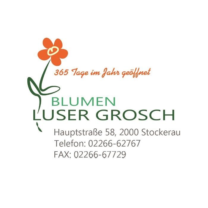Bilder Blumen Luser-Grosch