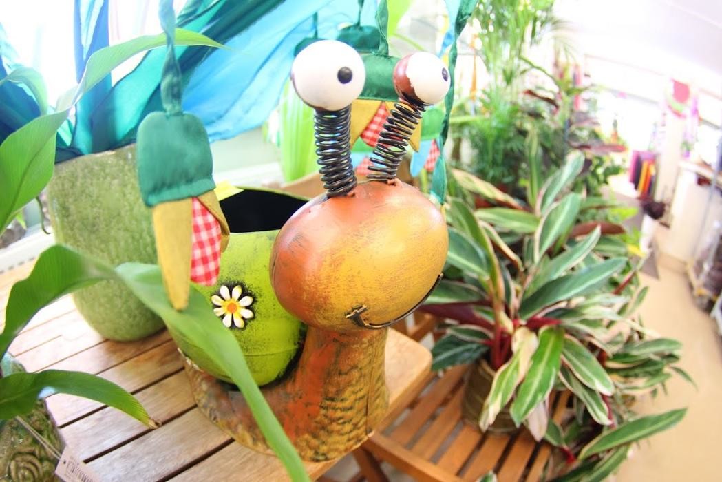 Bilder Blumen Luser-Grosch