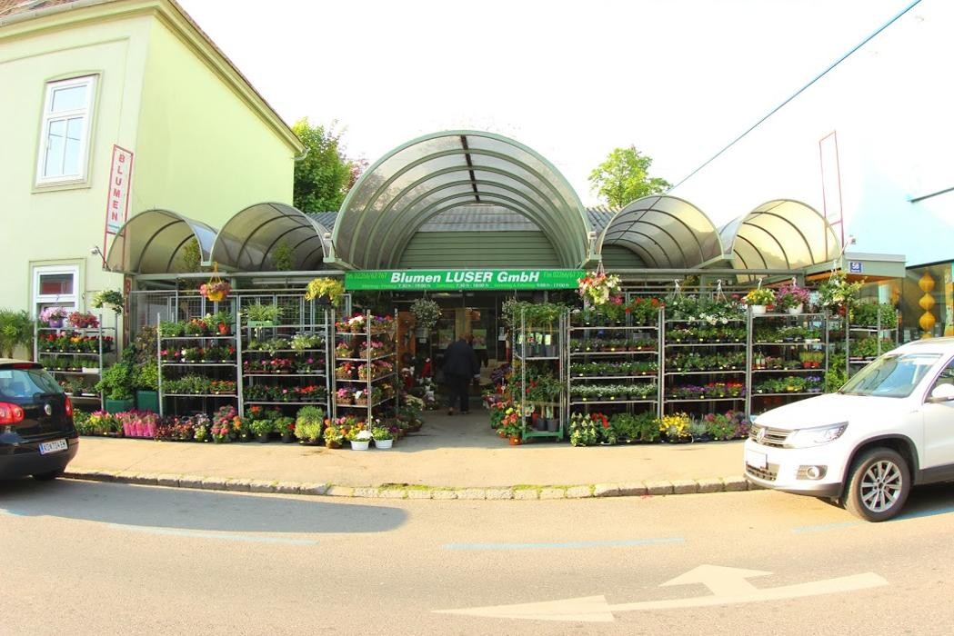 Bilder Blumen Luser-Grosch