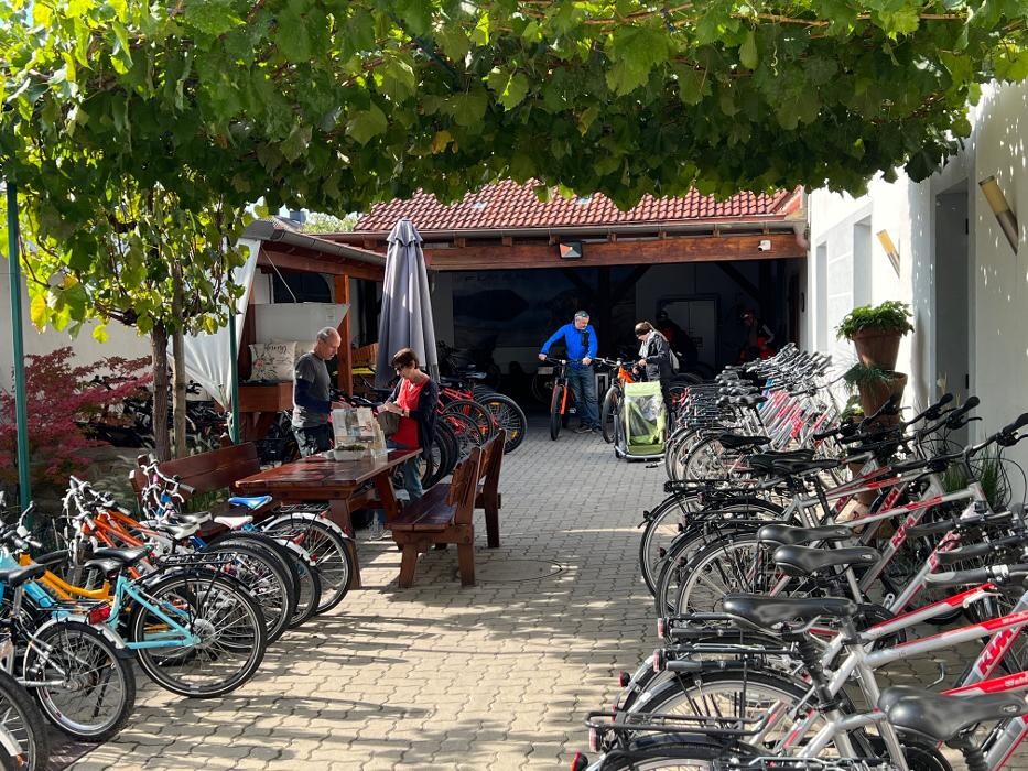 Bilder Radsport Waldherr