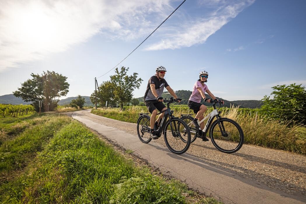 Bilder Radsport Waldherr