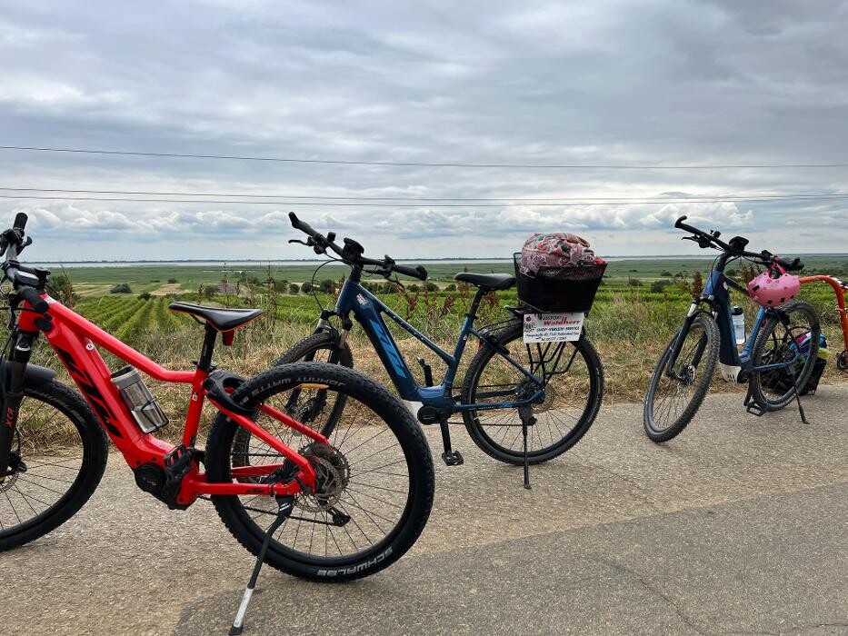 Bilder Radsport Waldherr