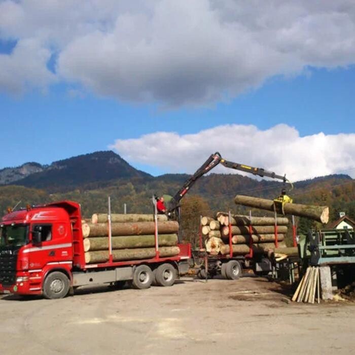 Bilder Sägewerk Schmaranzer
