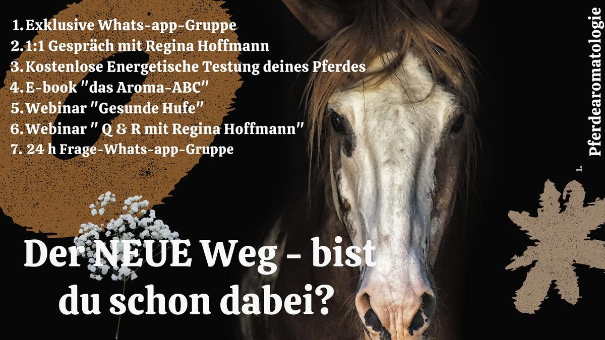 Bilder Pferdearomatologie - Regina Hoffmann