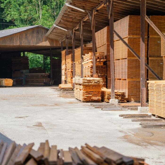 Bilder Herbert Leitner