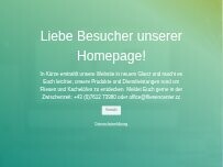 Website Screenshot Fliesencenter Kachelofenbau GmbH