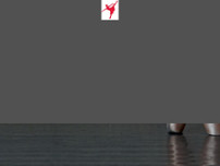Erste Linzer Ballettschule Prof Johanna Wilk-Mutard website screenshot
