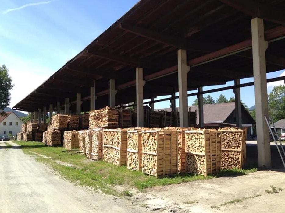 Bilder Dulle Wood Forstwirtschaft