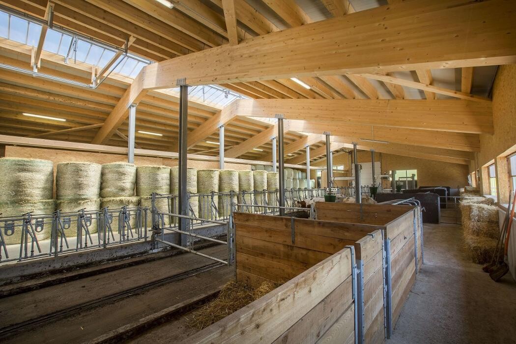 Bilder Holzbau Maier GmbH & Co.KG.