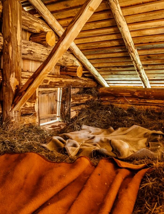 Bilder Gehwolfalm