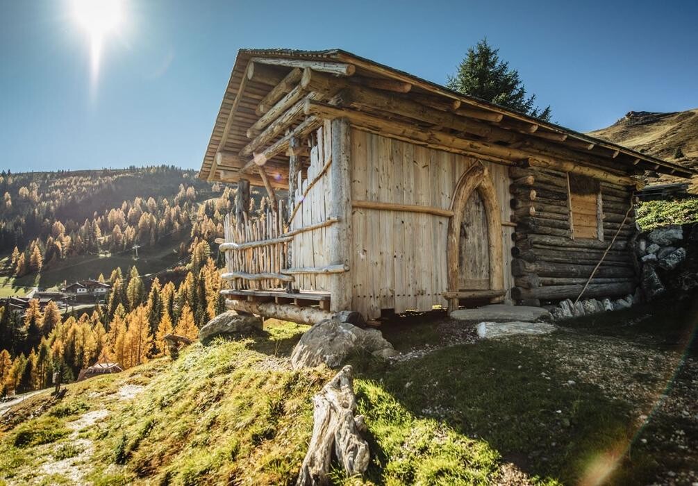 Bilder Gehwolfalm